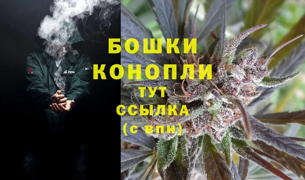 СК Алексин
