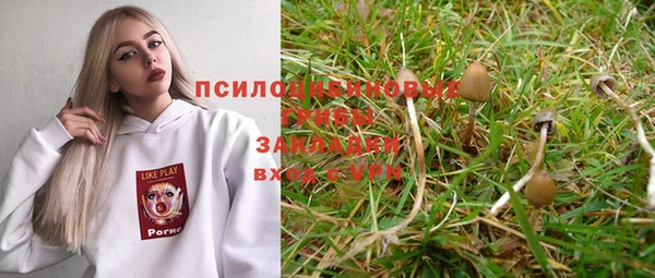 СК Алексин